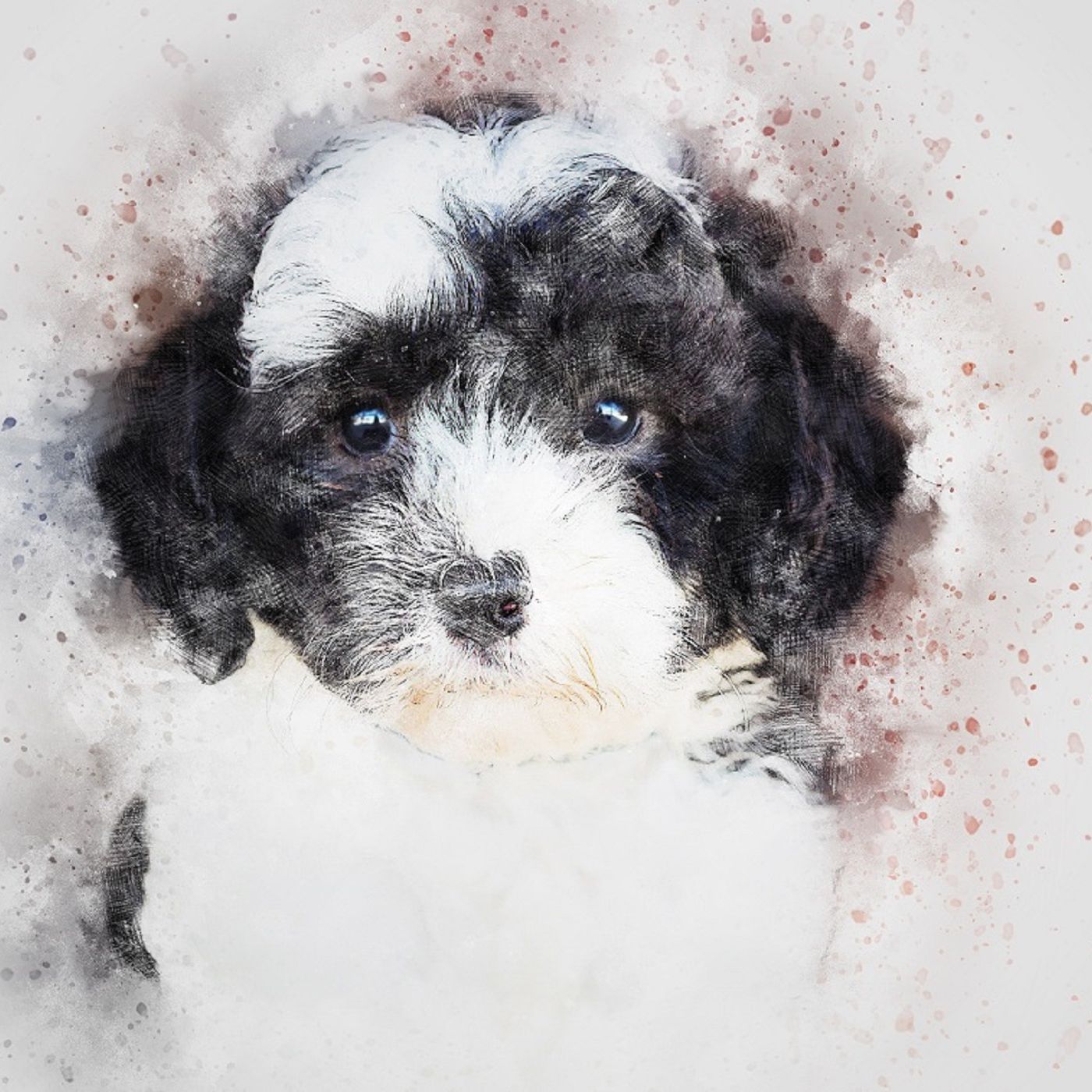 Preventing Unwanted Urination In Dogs Preventing Unwanted Urination In Dogs