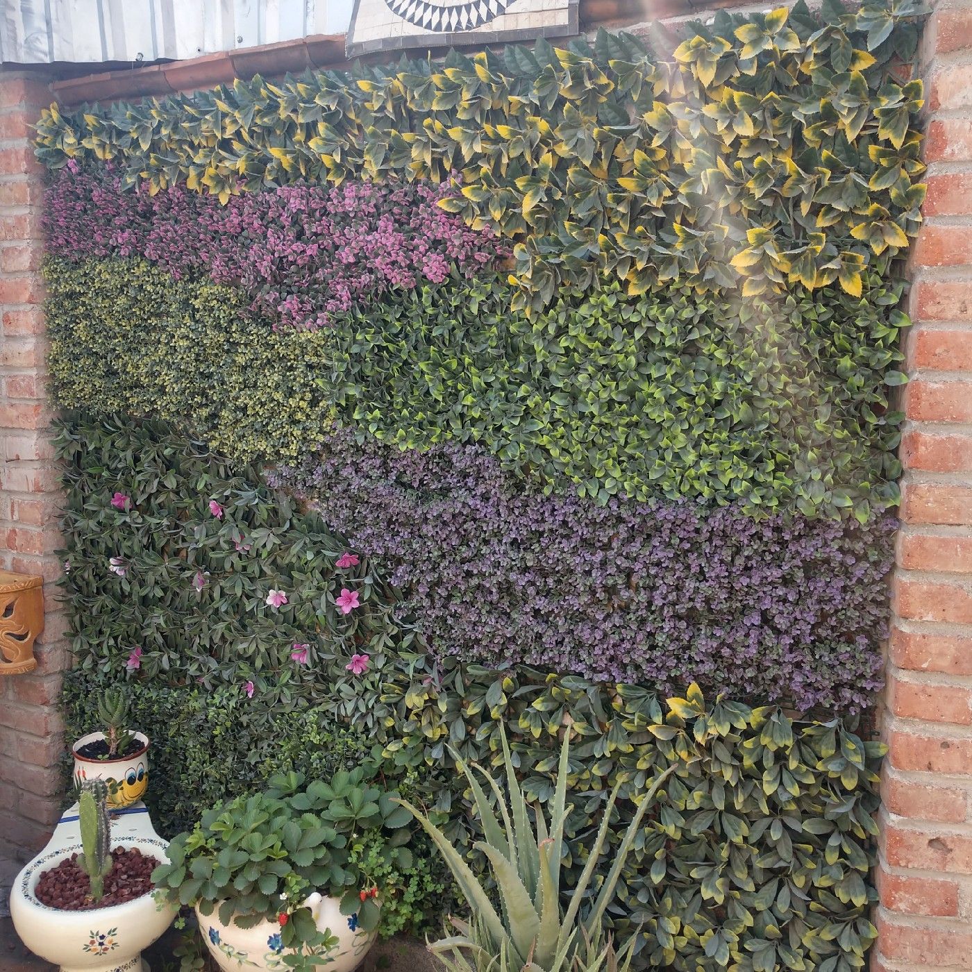 Estudio Atención Limpieza