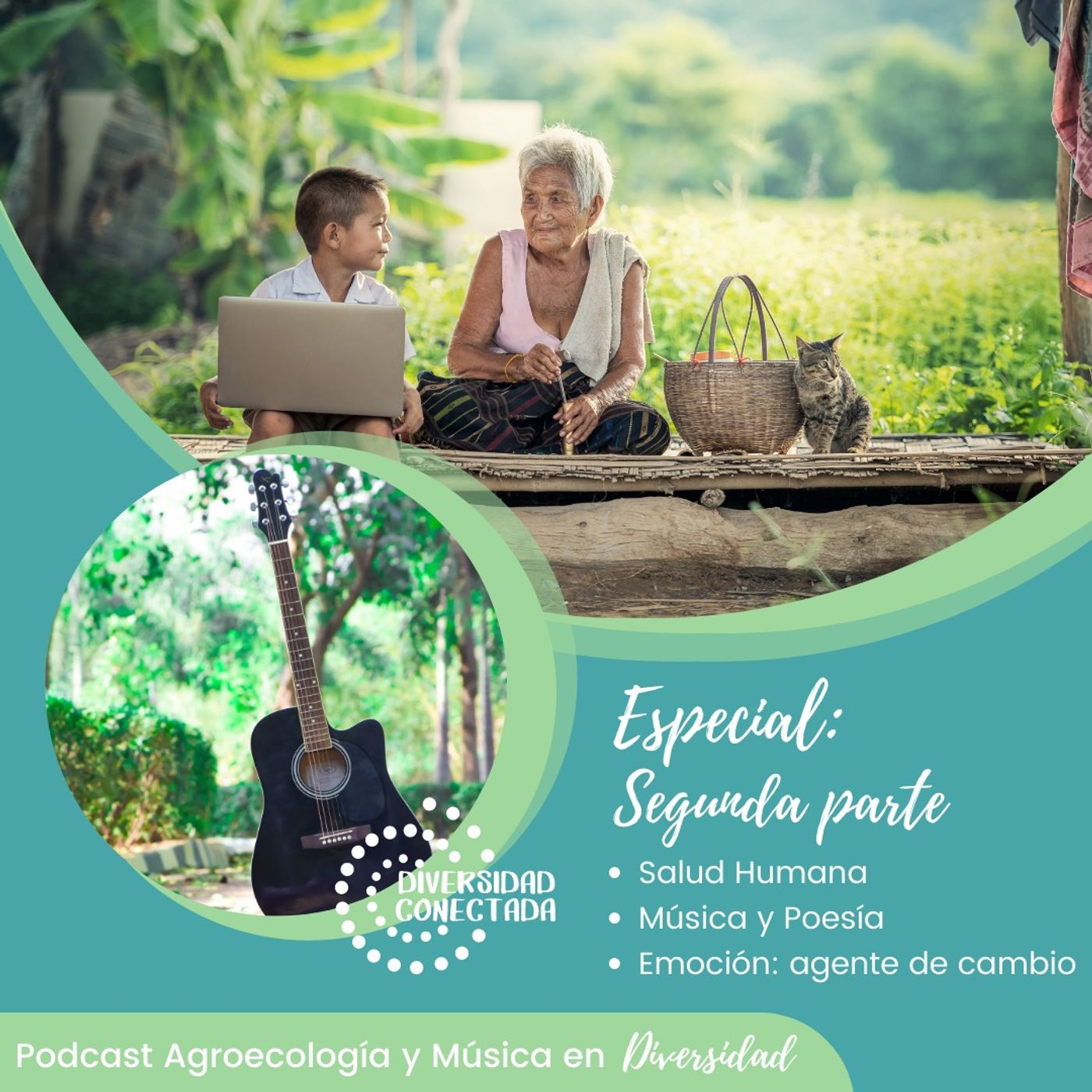 Diversidad Conectada