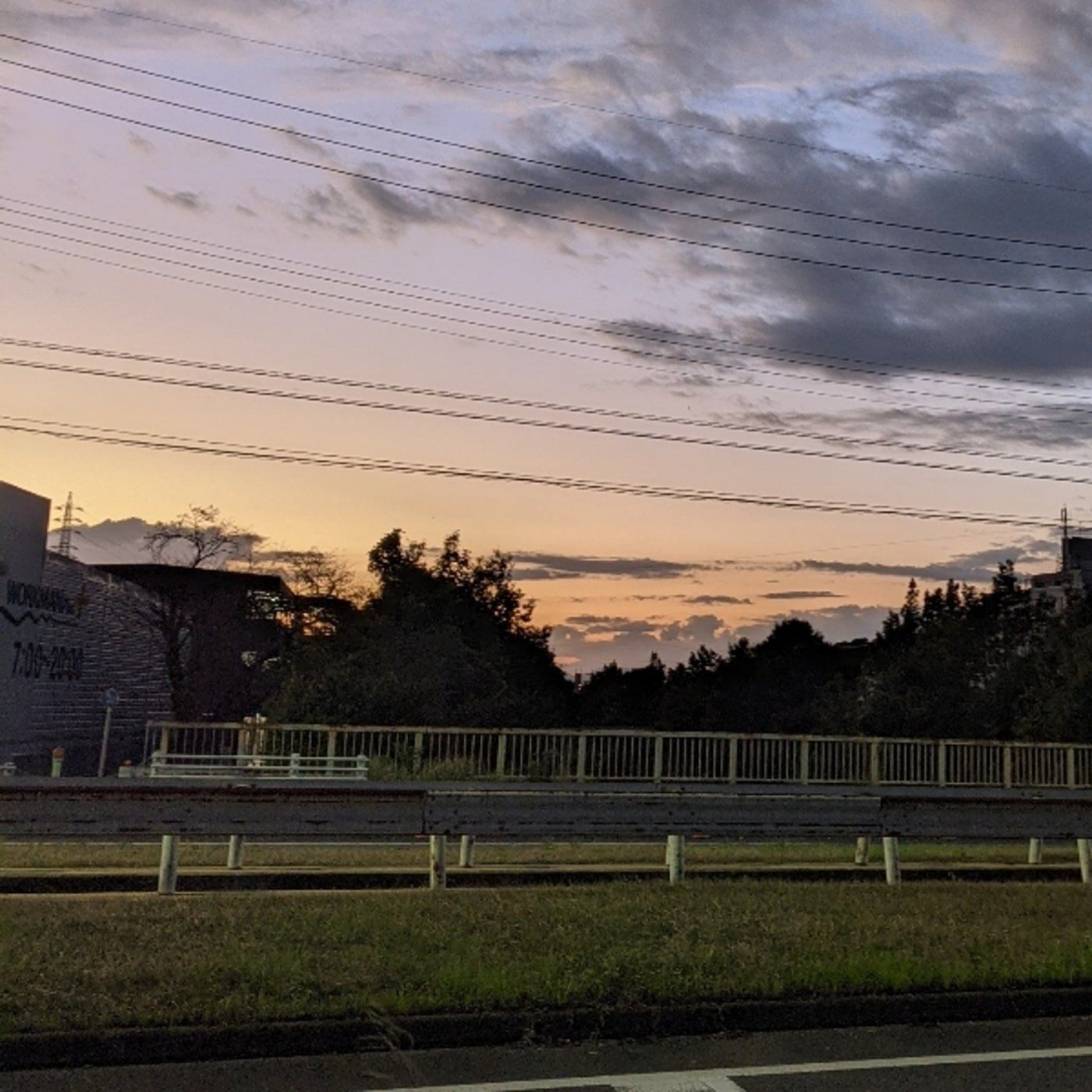 秋の夕暮れの道を歩き、少年時代を追体験する🥹 episode artwork