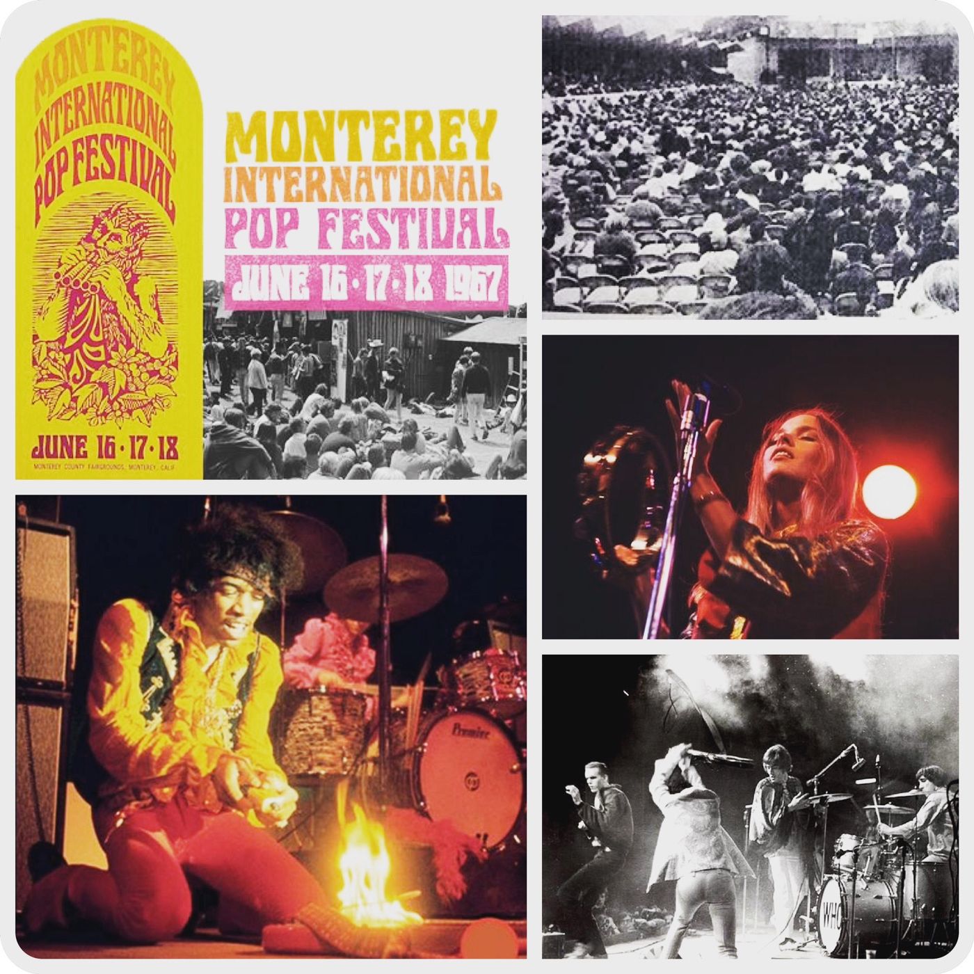 Monterey Pop 50: Community Stories
