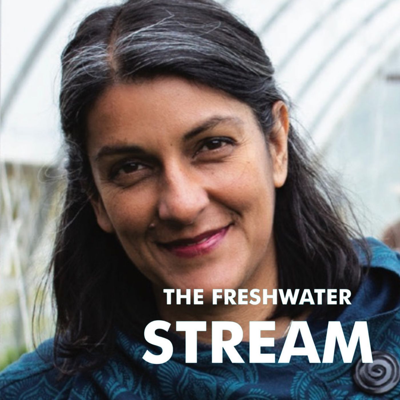 Freshwater Stream
