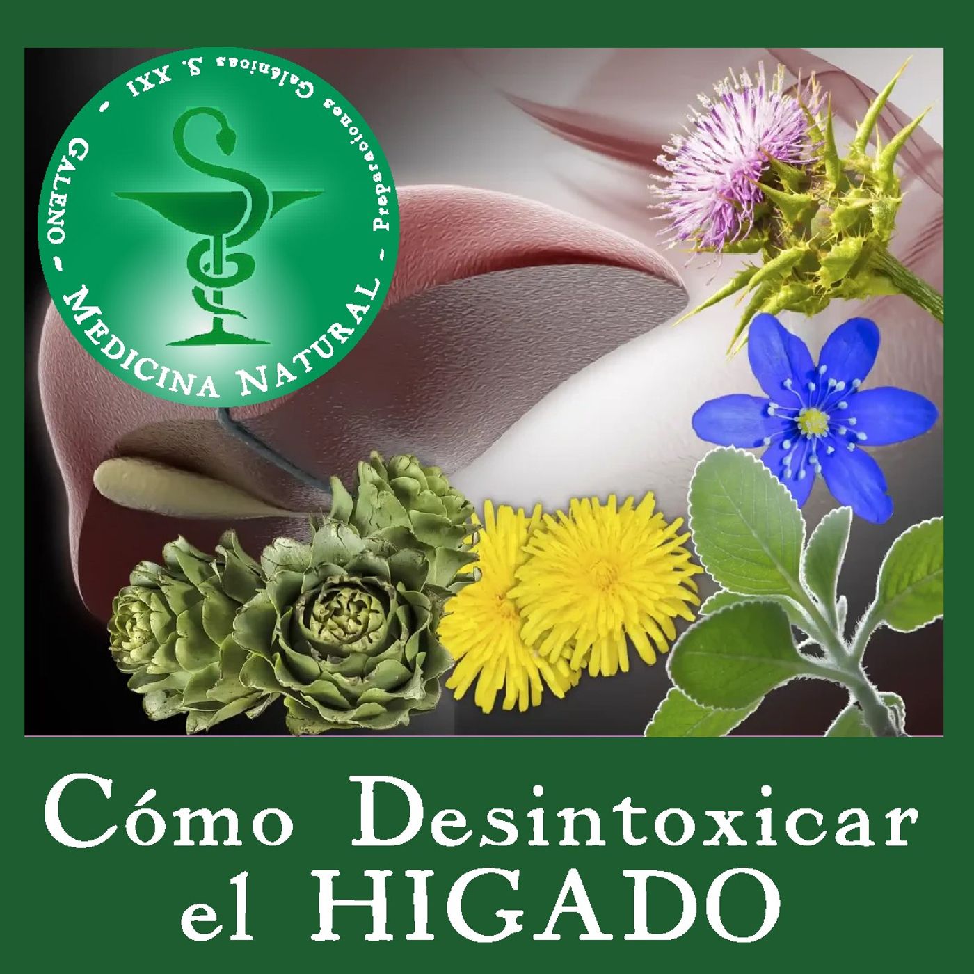 Medicina Natural