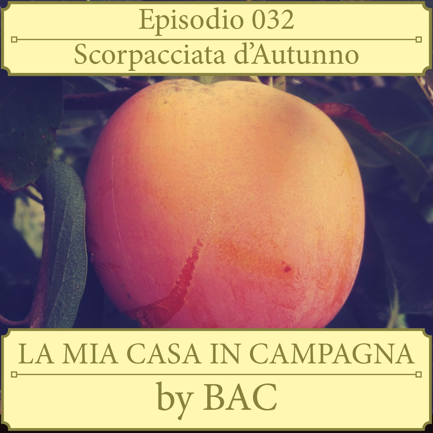 La Mia Casa In Campagna