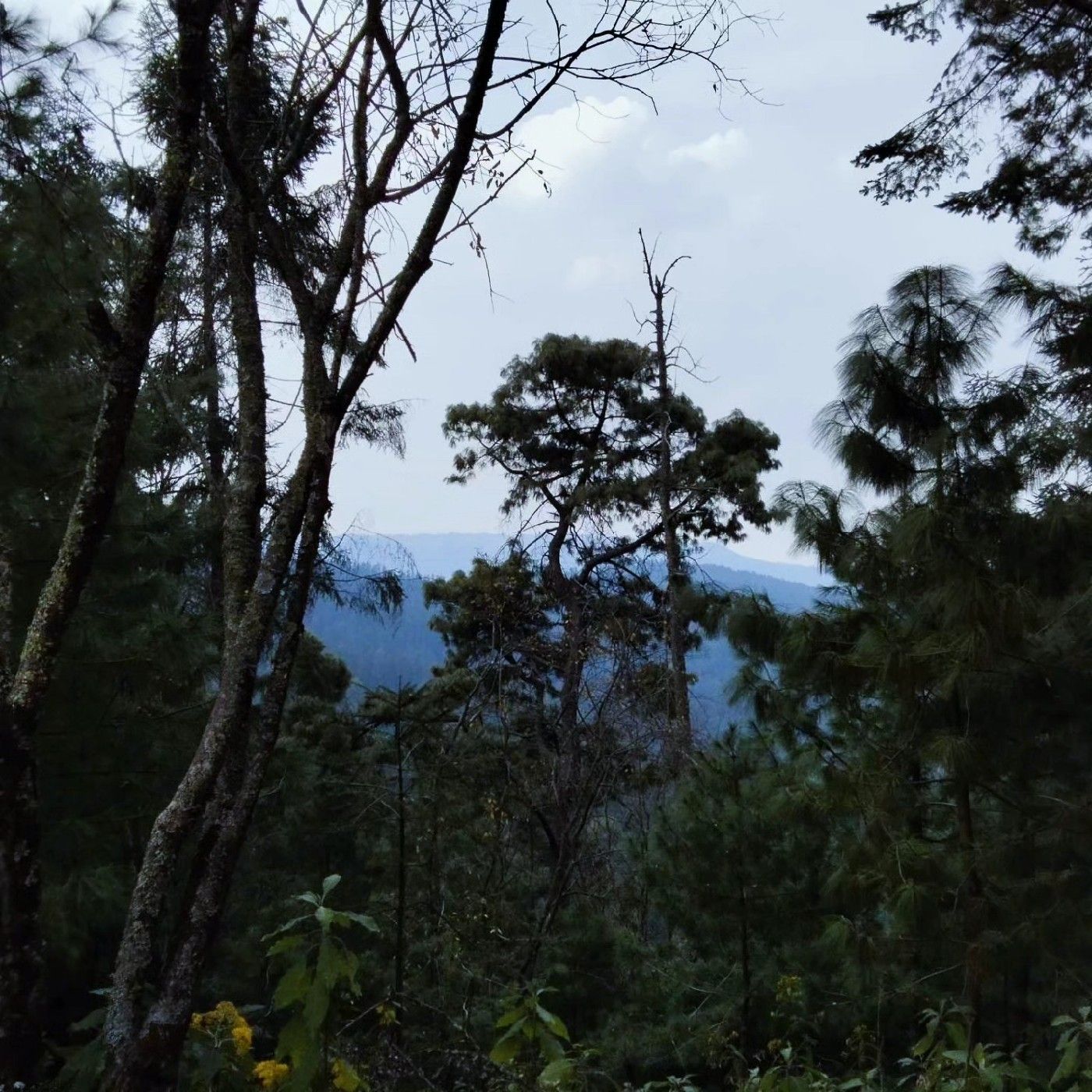 Paradigmas del ser independiente cover art