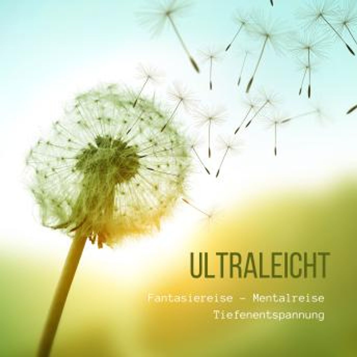 Download Best Full-Length Audiobooks in Health & Wellness, Mindfulness & Meditation