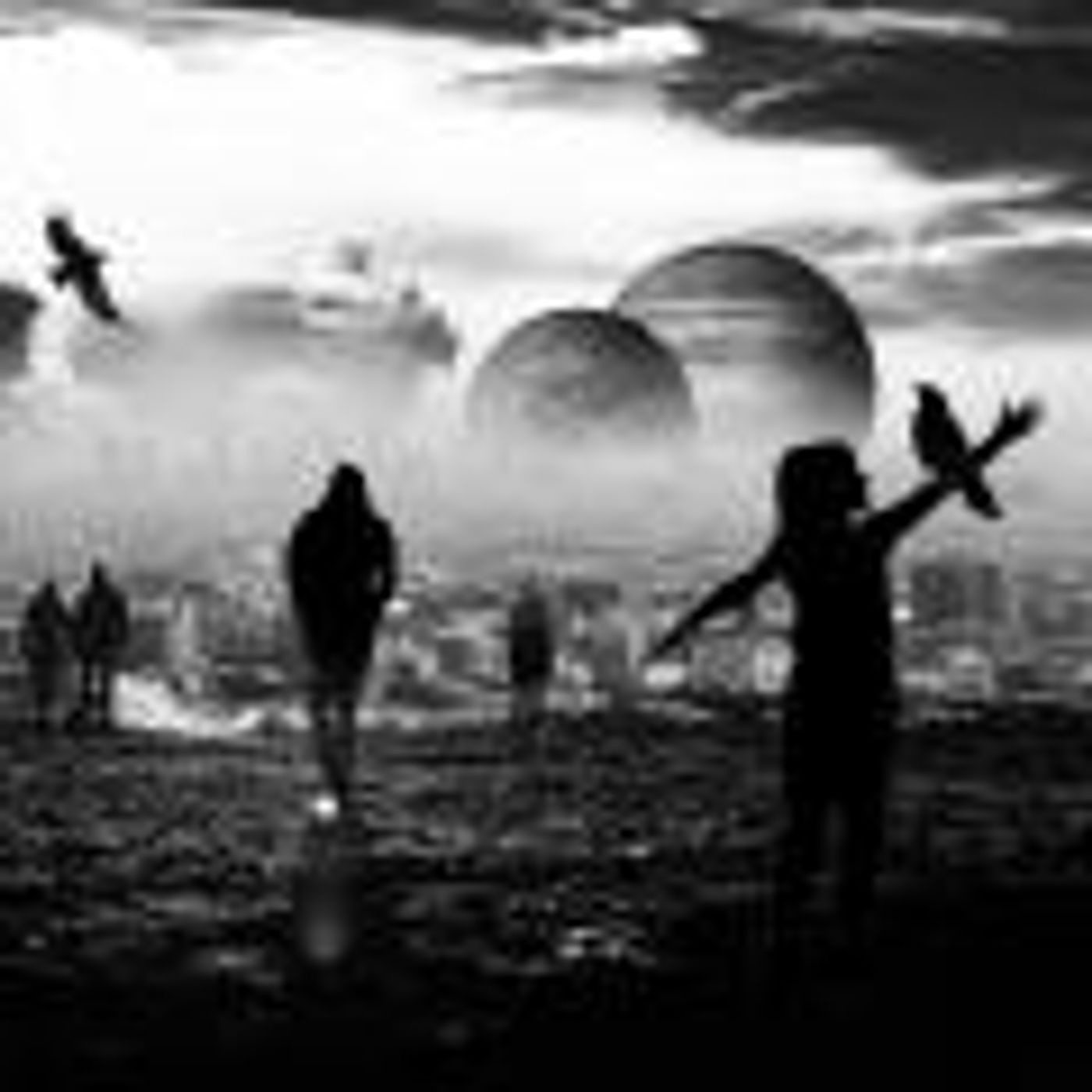 Guest Host Phil Free with Michel DeLeage: Problem Solving in a World Full of Conflict and Misunderstanding episode artwork