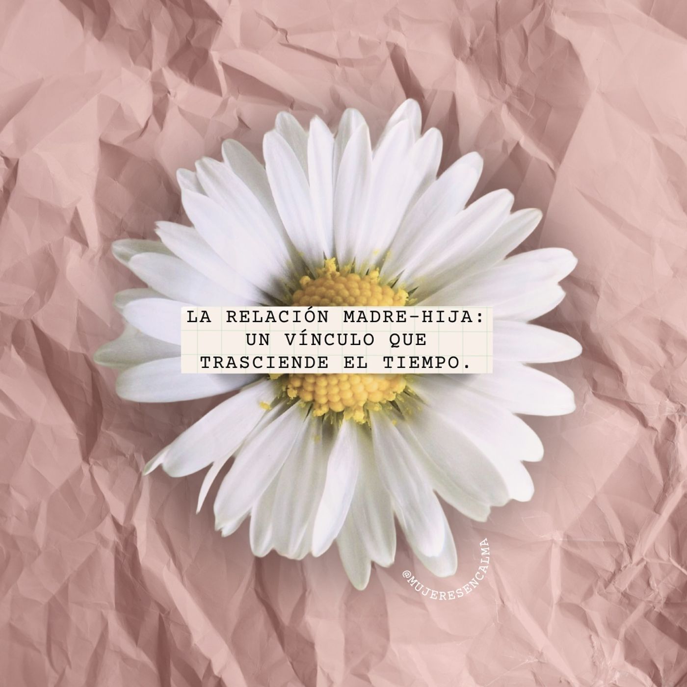 169 - La relación madre-hija: un vínculo que trasciende el tiempo