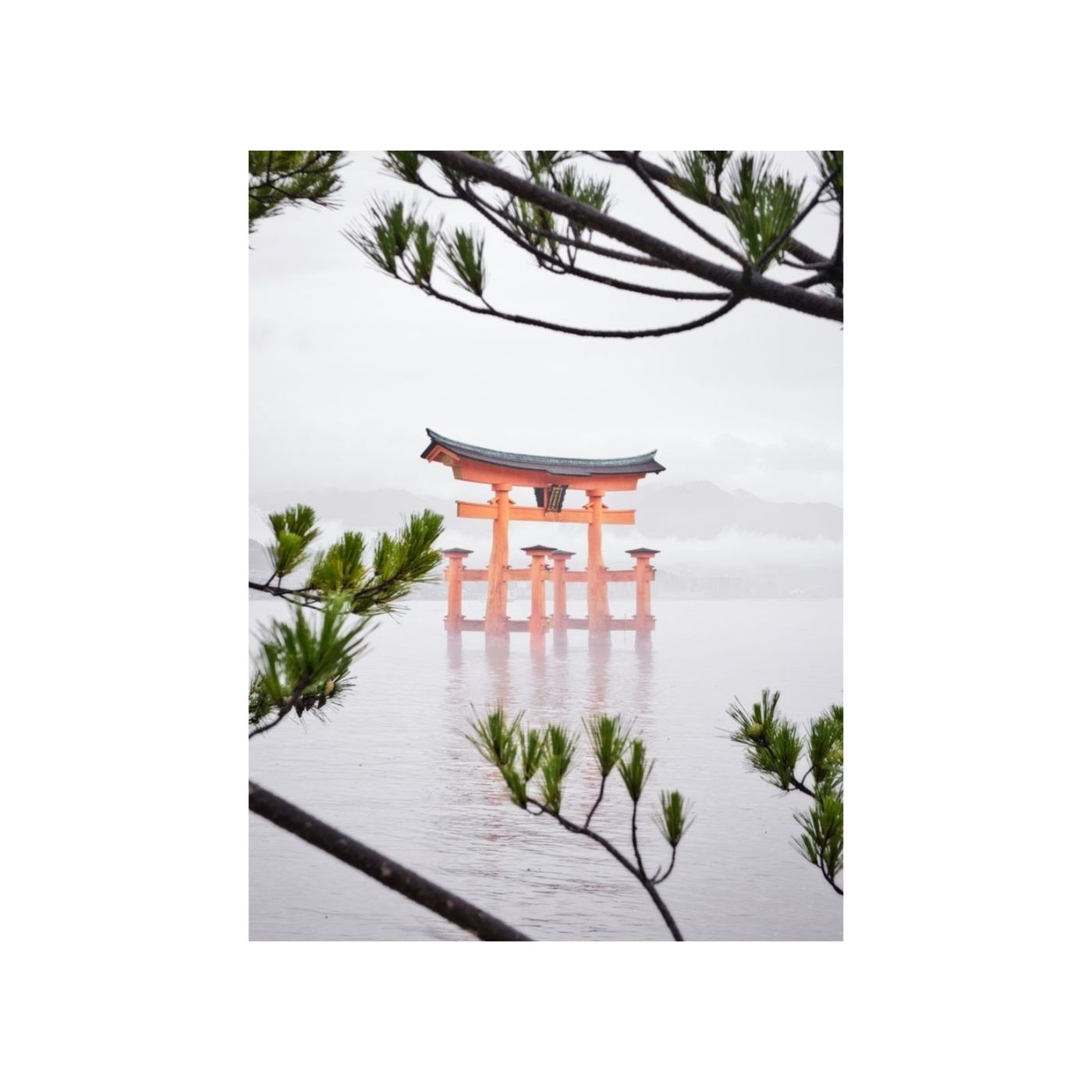 Nipponiamo