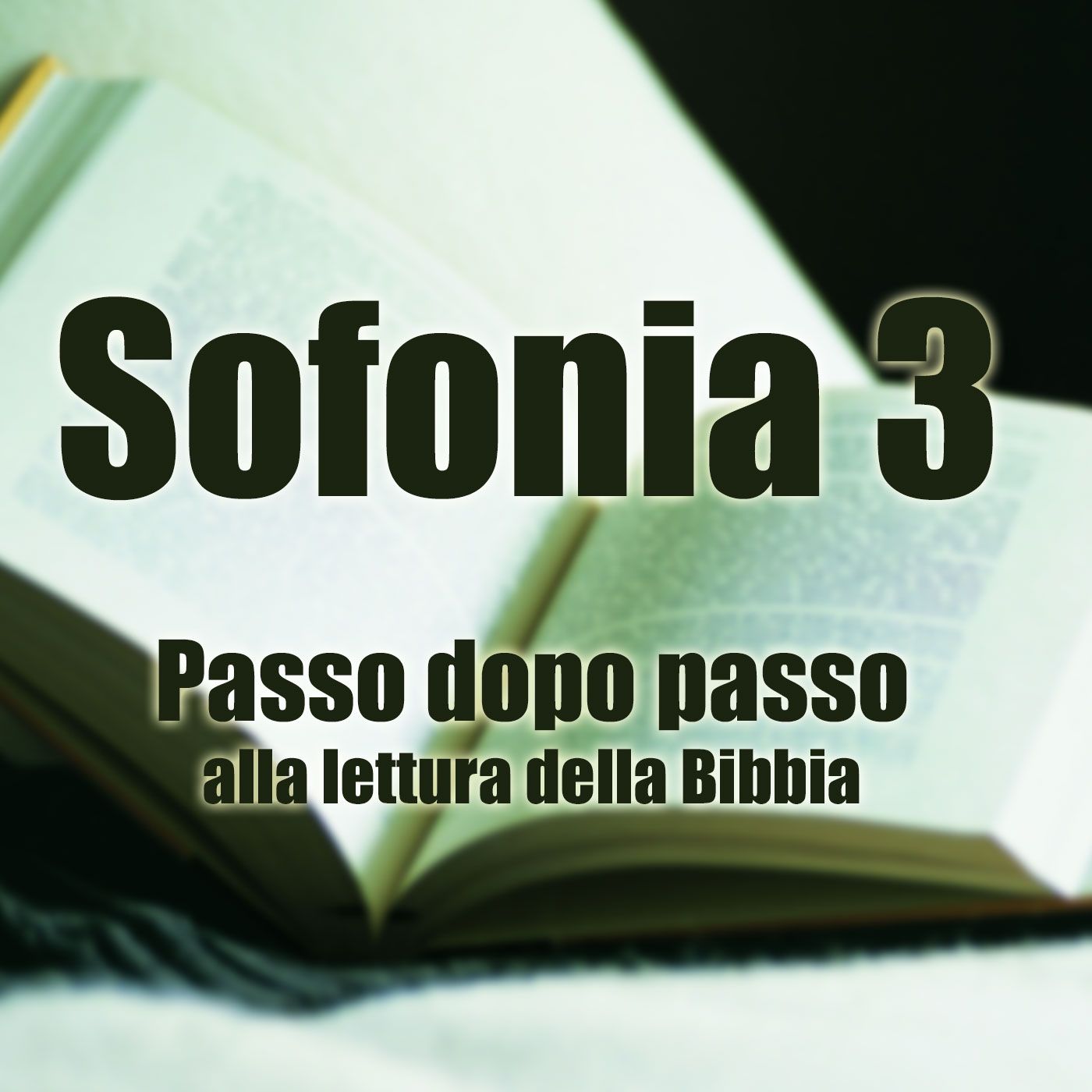 Passo dopo passo alla lettura della Bibbia