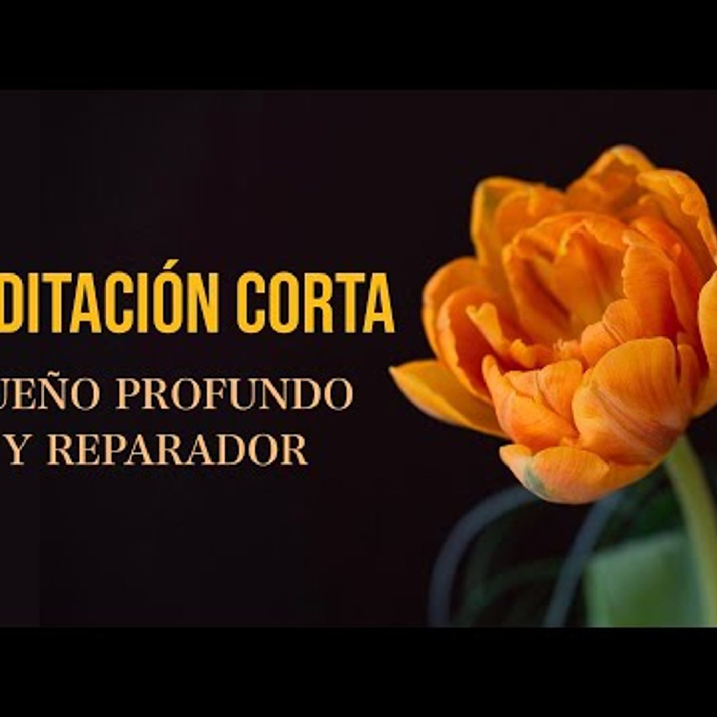 091. Meditación Corta para Dormir en 10 minutos