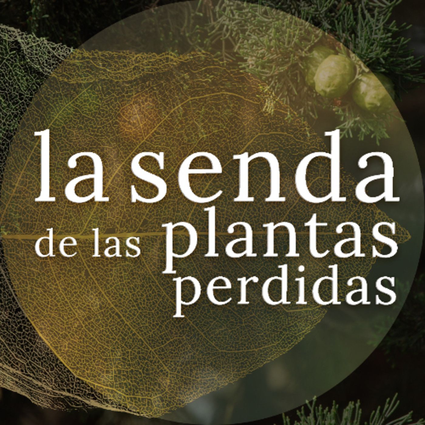 La Senda de las Plantas Perdidas