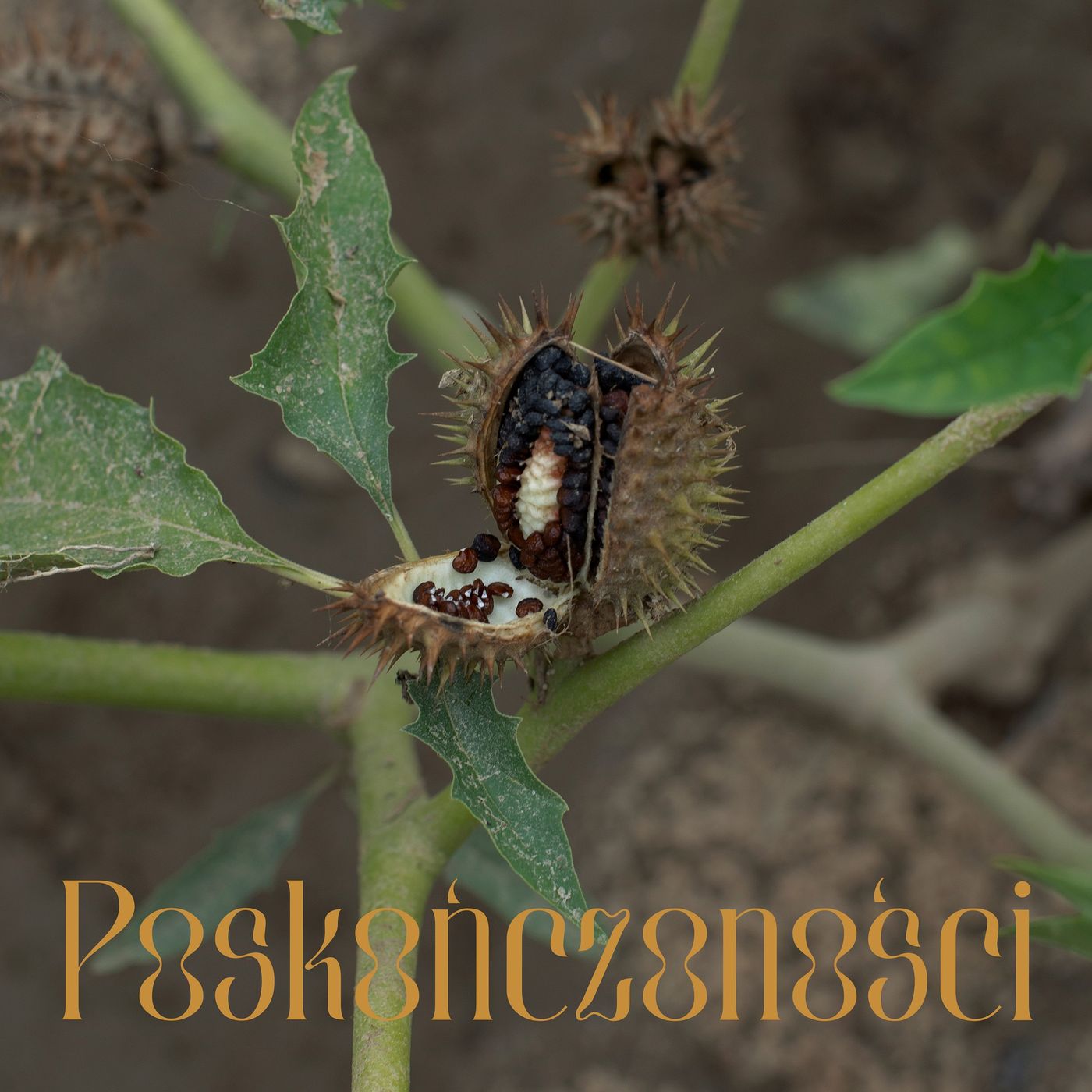 Poskończoności