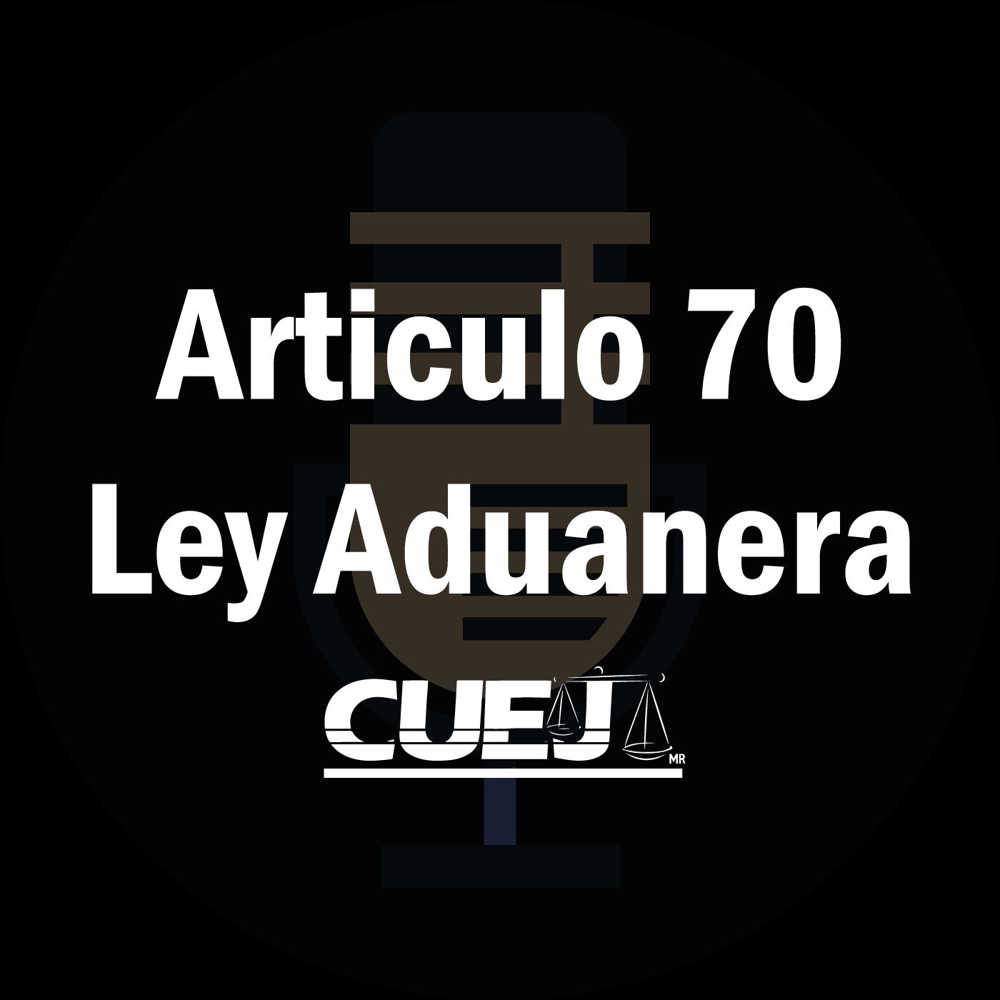 Audio Ley Aduanera