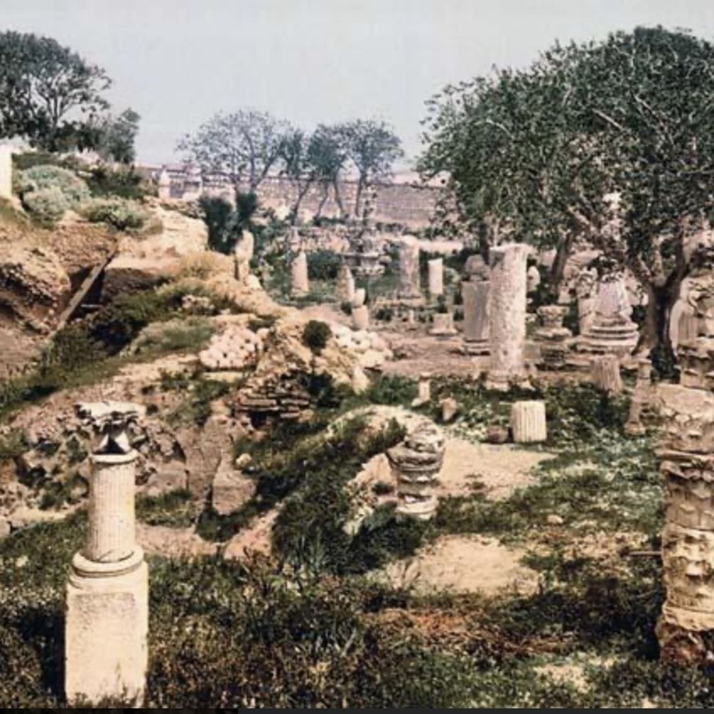 S8 Ep1067: Challenging the Crooked Establishment in Sicily. Guest Author: Josiah Osgood. The Roman Republic's political landscape was heavil