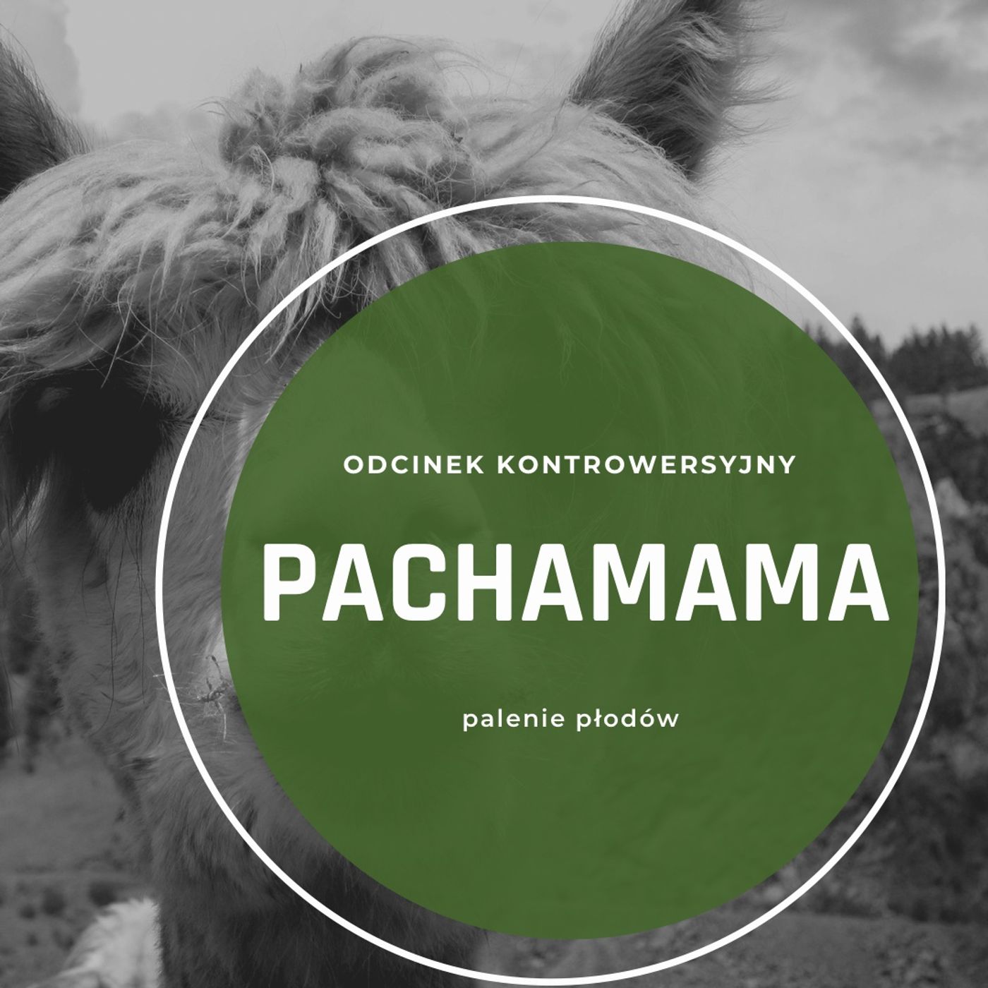 Podróże Poniżej Pasa