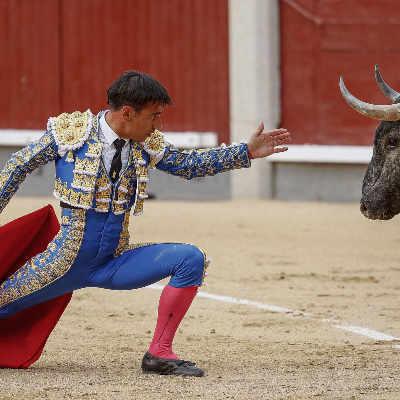 Al Alimón: "Cuando hay toros hay emoción"