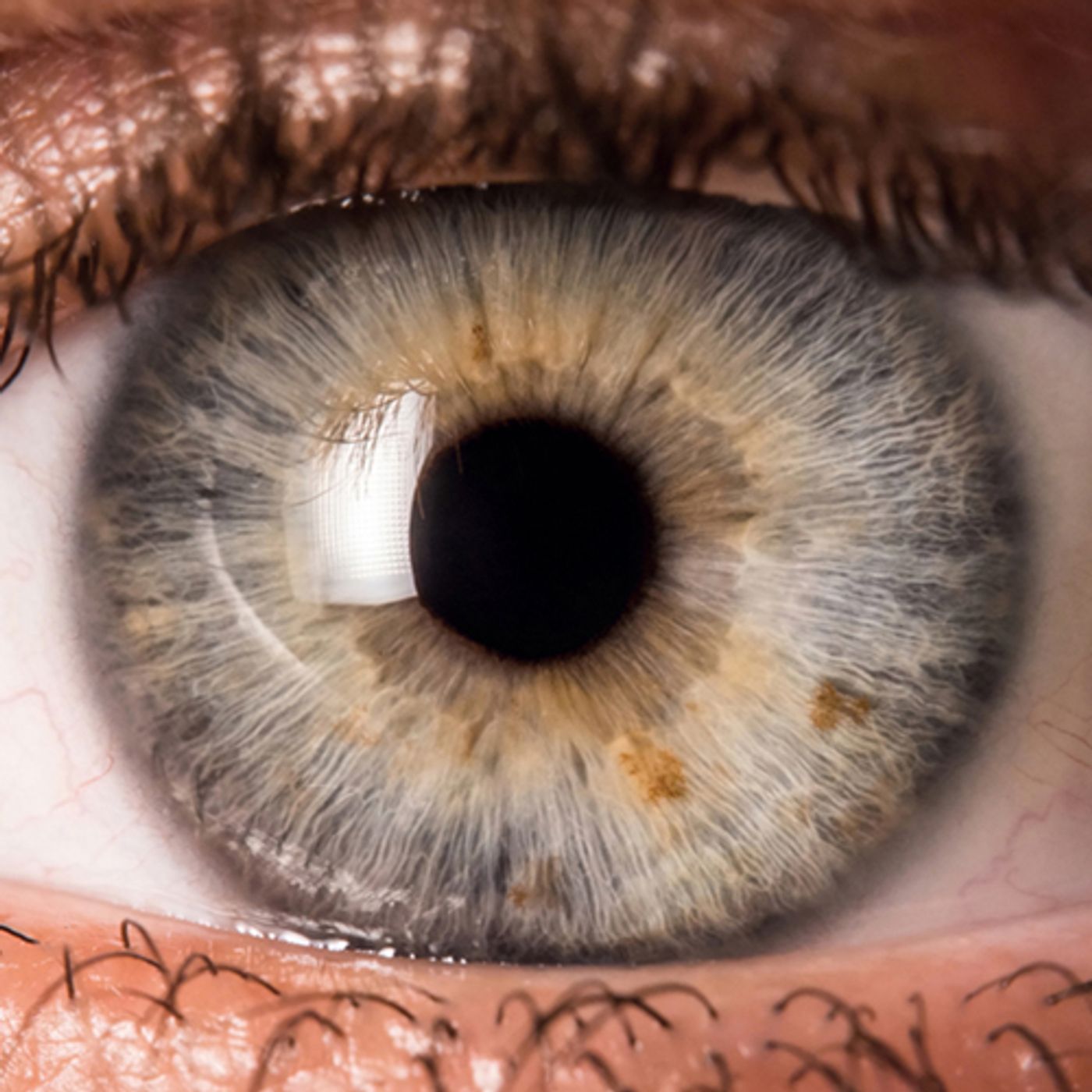 Korku Durağı: Korku Hikayeleri & Creepypasta