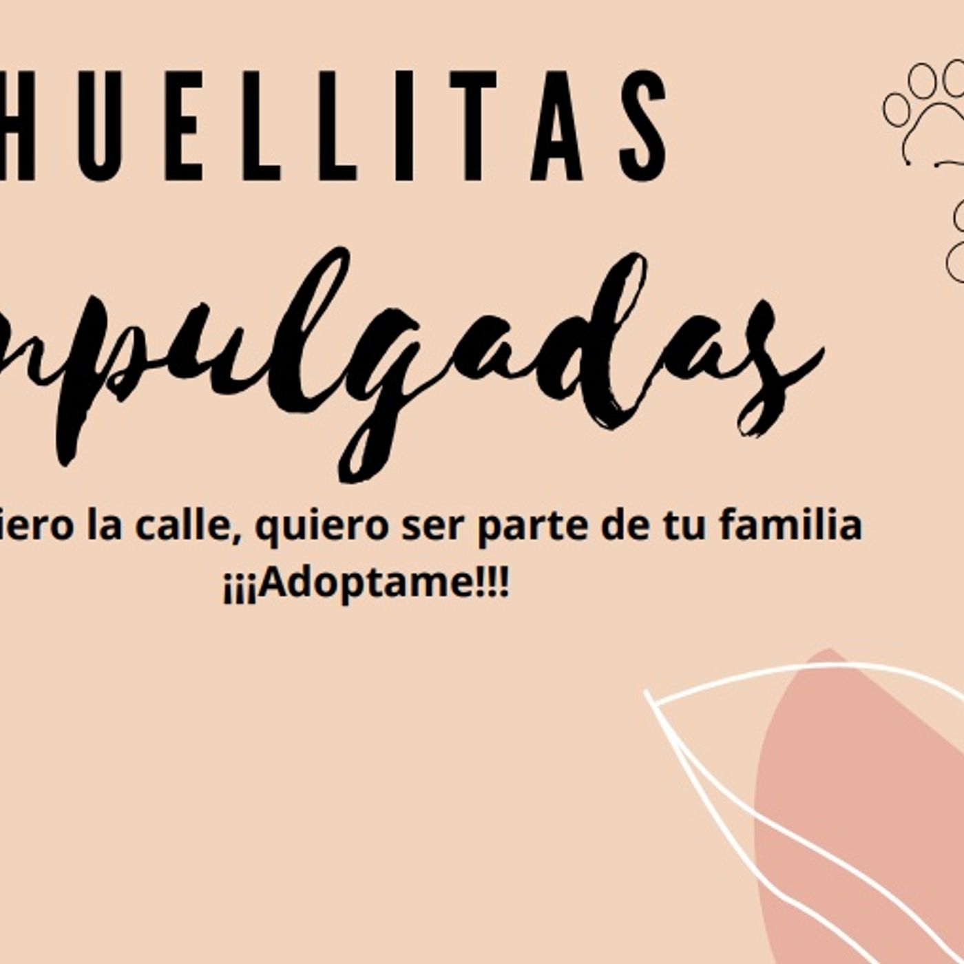 La Adopción de Perros podcast artwork