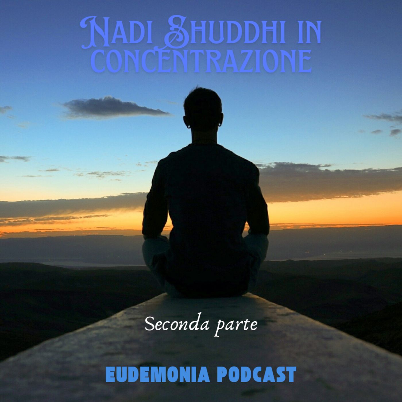 Seduta di Yoga con concentrazione in Nadi Shuddhi - VIDEO (seconda parte) episode artwork