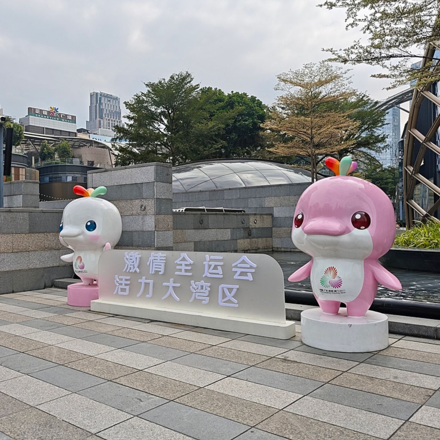 Greater Bay Area lights up National Games