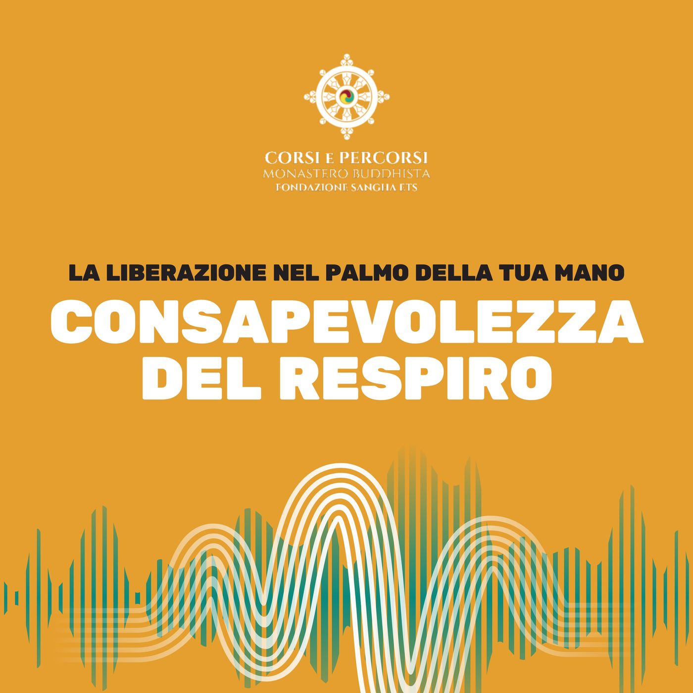 La liberazione nel palmo della tua mano