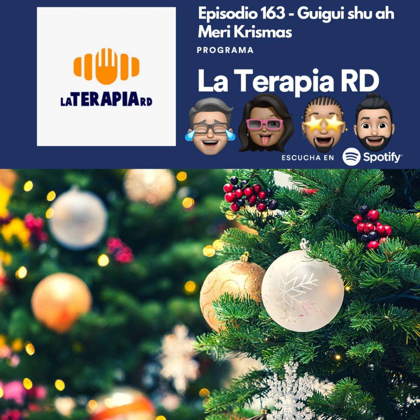 La Terapia RD