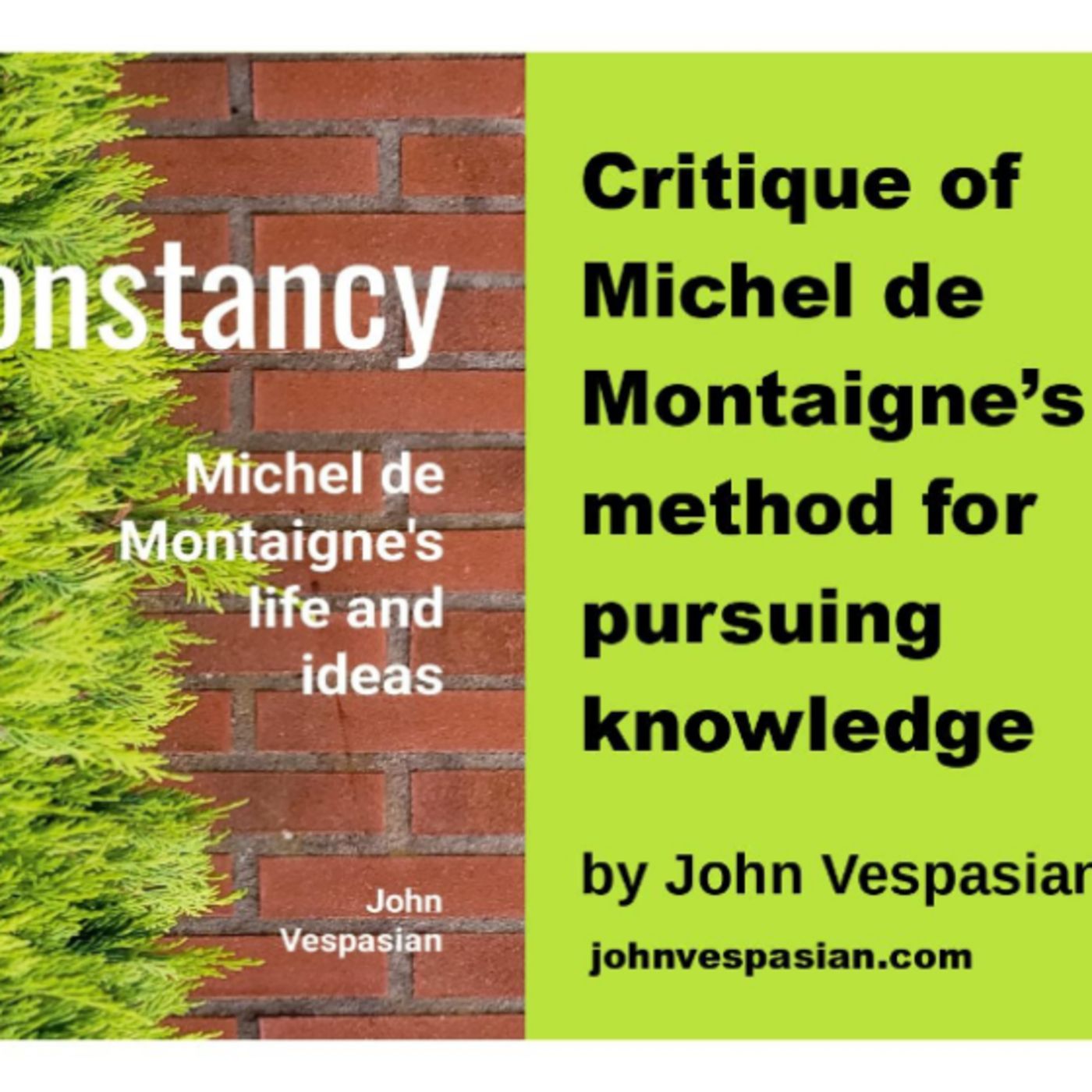 Critique of Michel de Montaigne’s method for pursuing knowledge episode artwork