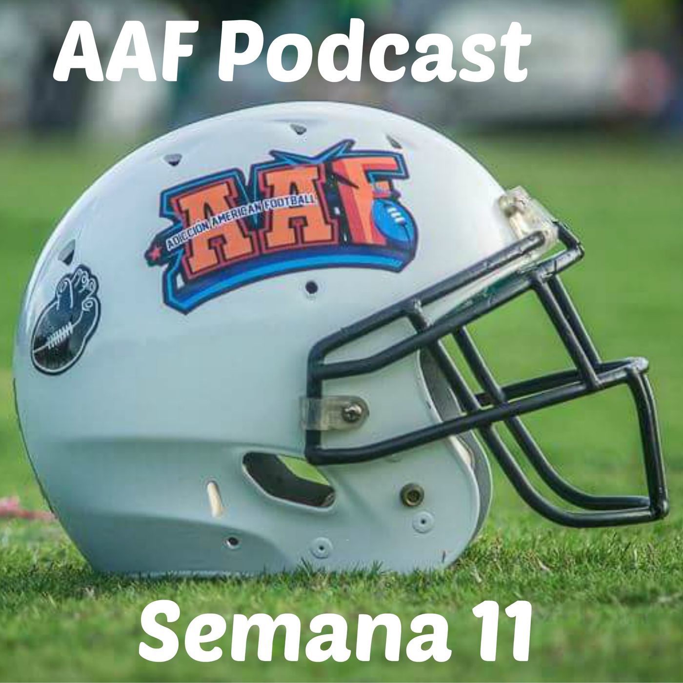 Temporada Regular AAF Semana 11