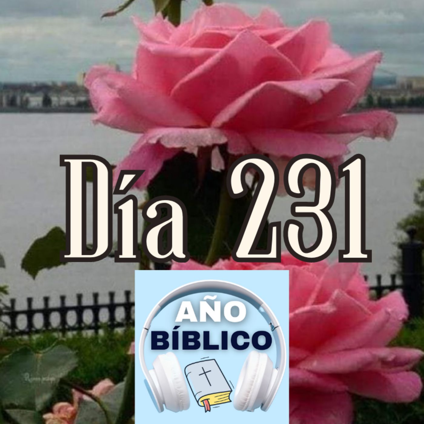 Día 231 - Salmo 95:1-7, Proverbios 1-3 y 1 Corintios 13 episode artwork