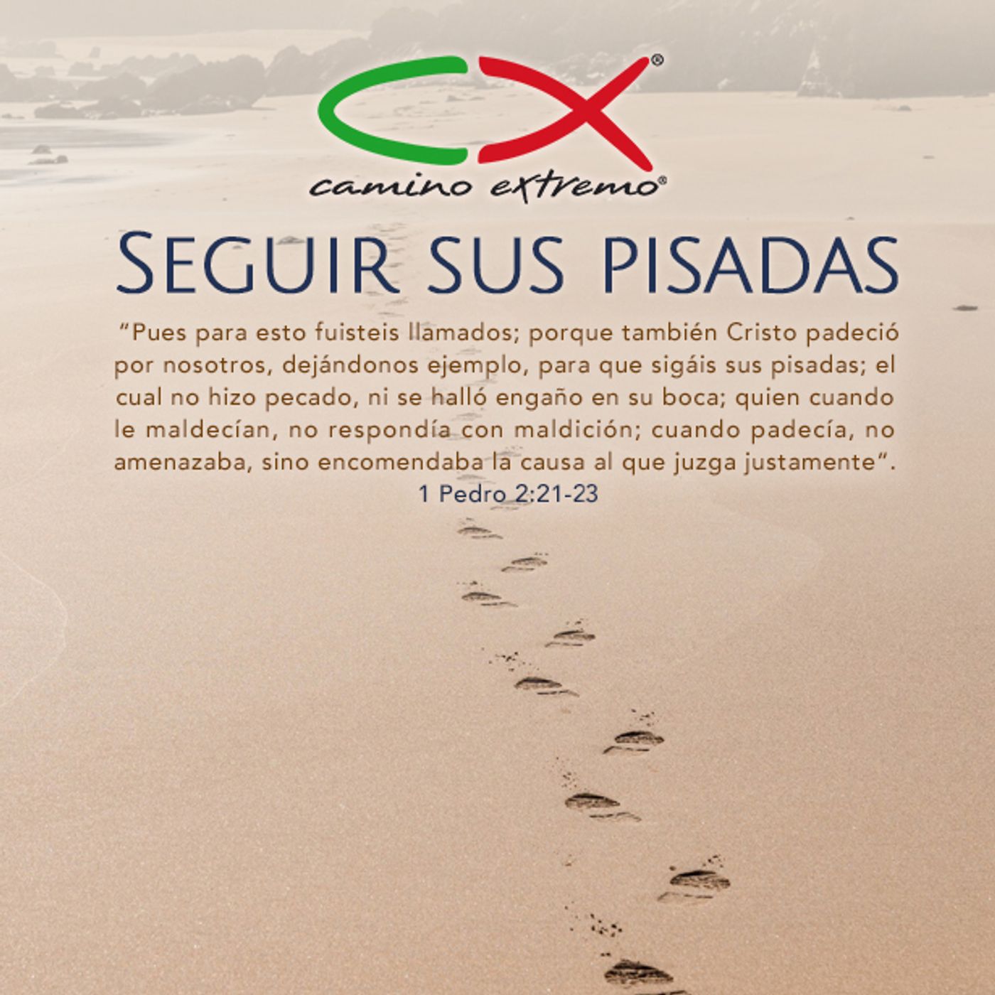 Oración 6 de diciembre (Seguir sus pisadas) episode artwork