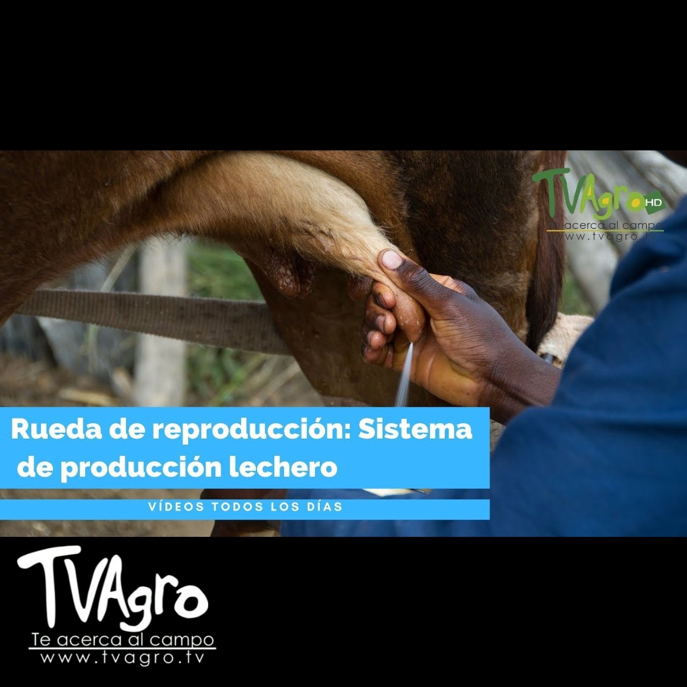 TV AGRO