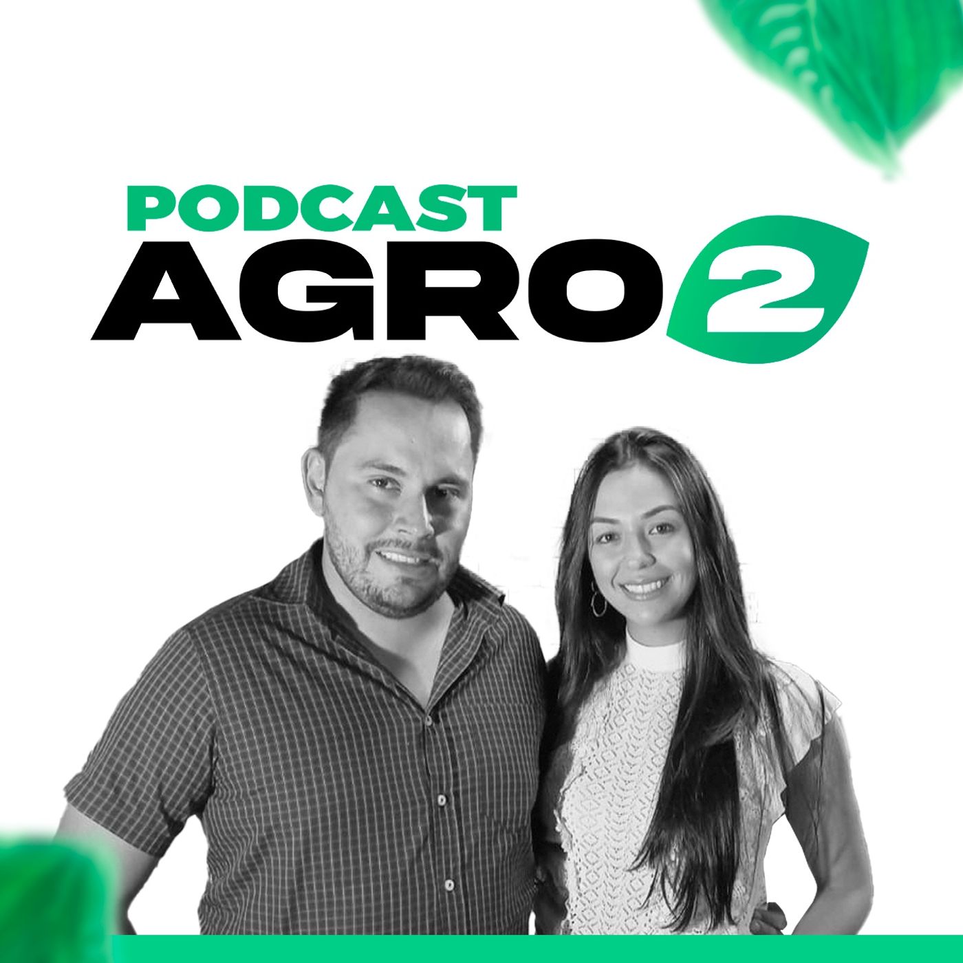 #45 Quais as diferenças entre o Gir Leiteiro e o Gir Padrão? A Estância Tamburil explica episode artwork