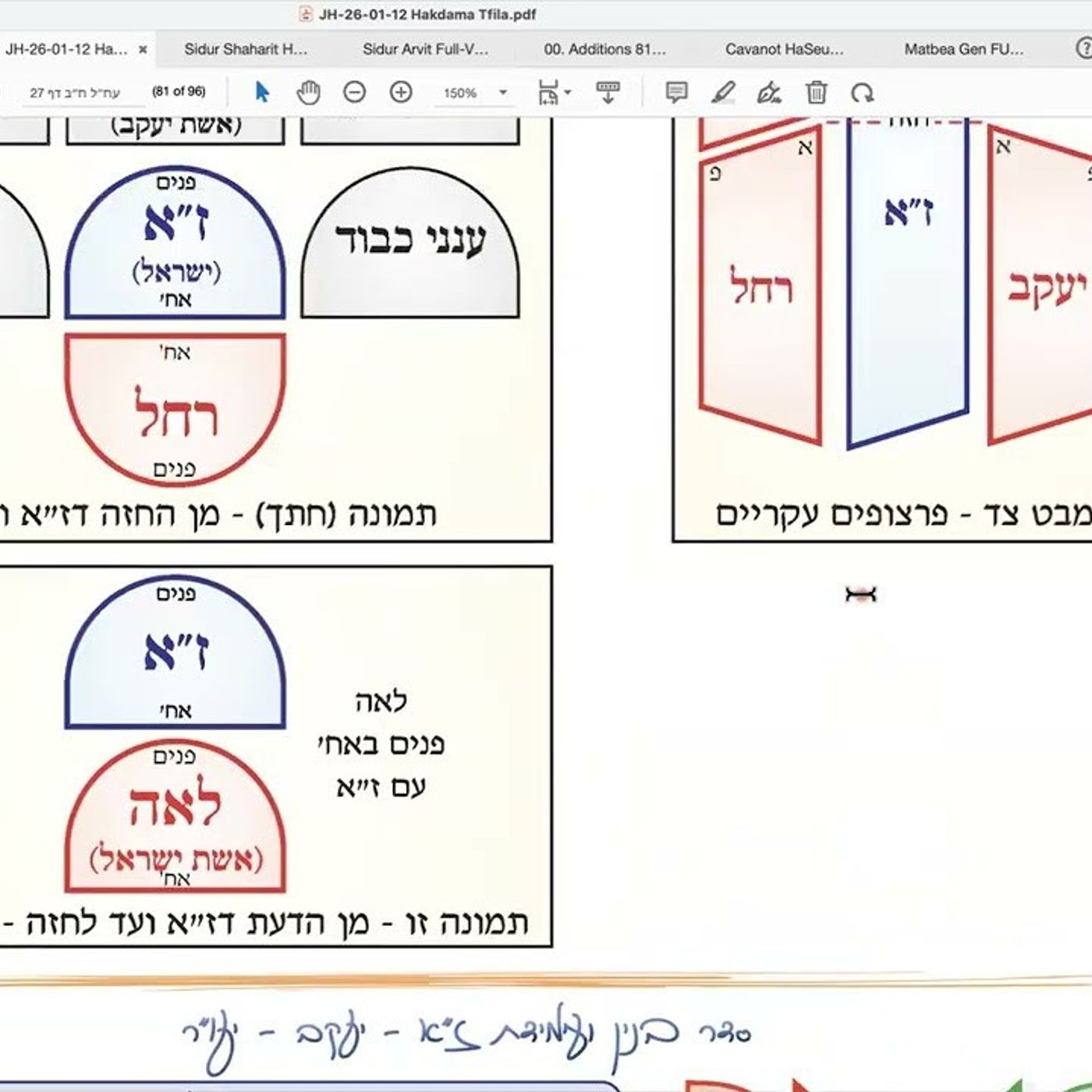 הרב יואל חקון - תפילה תשפ״ה - שיעור 056 - המשך הקדמות - סדר בנין זו״ן בקצרה - סדר עמידת הפרצופים. episode artwork