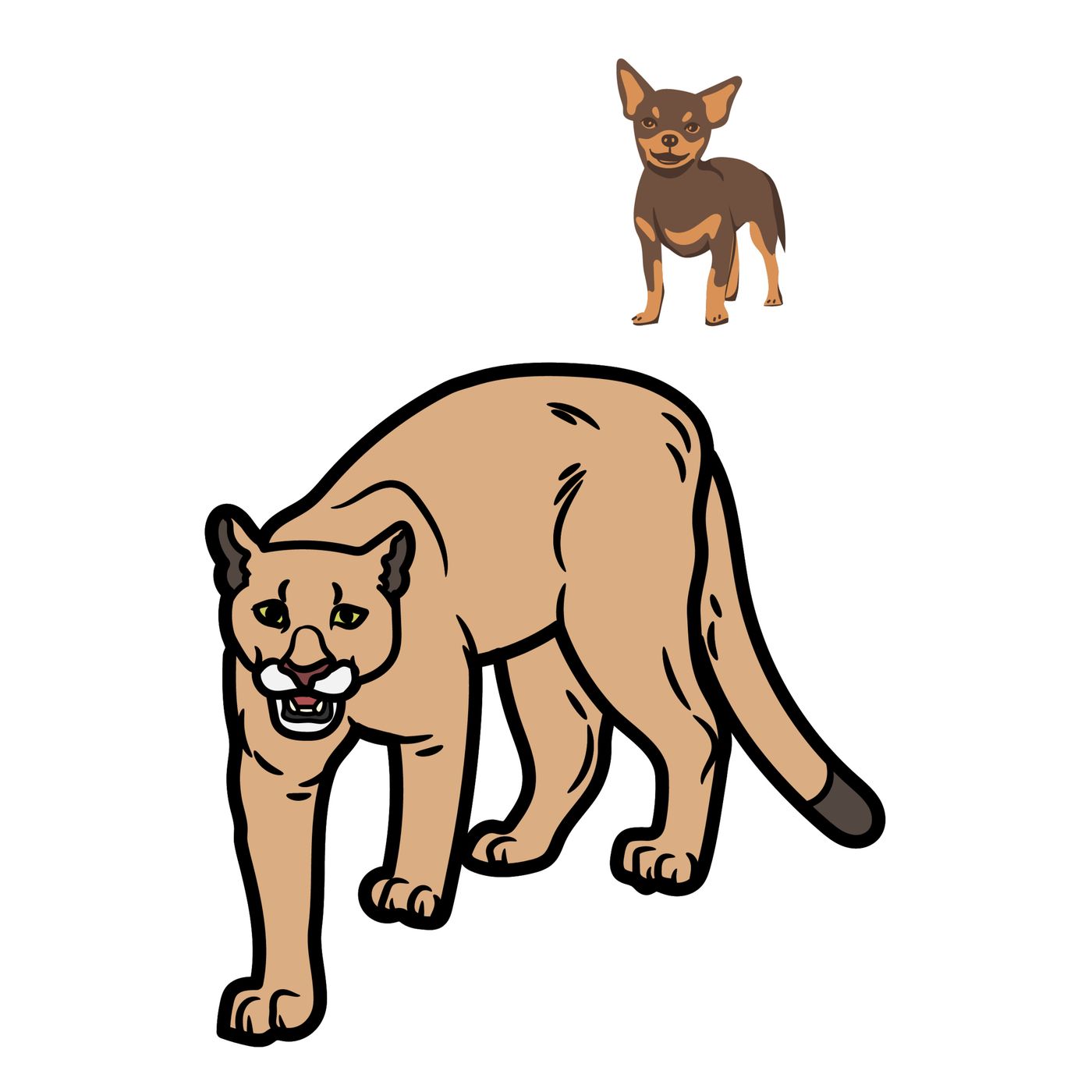 Aventuras del chihuahua Zafiro el Gabriel el puma