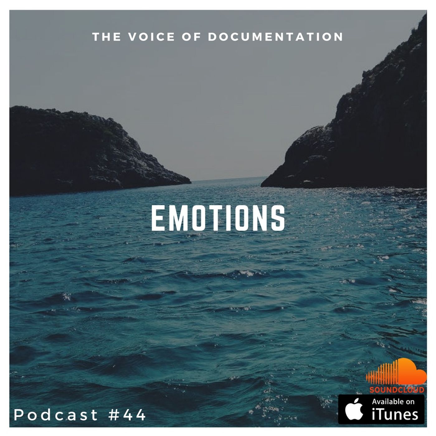 The Voice Of Documentation