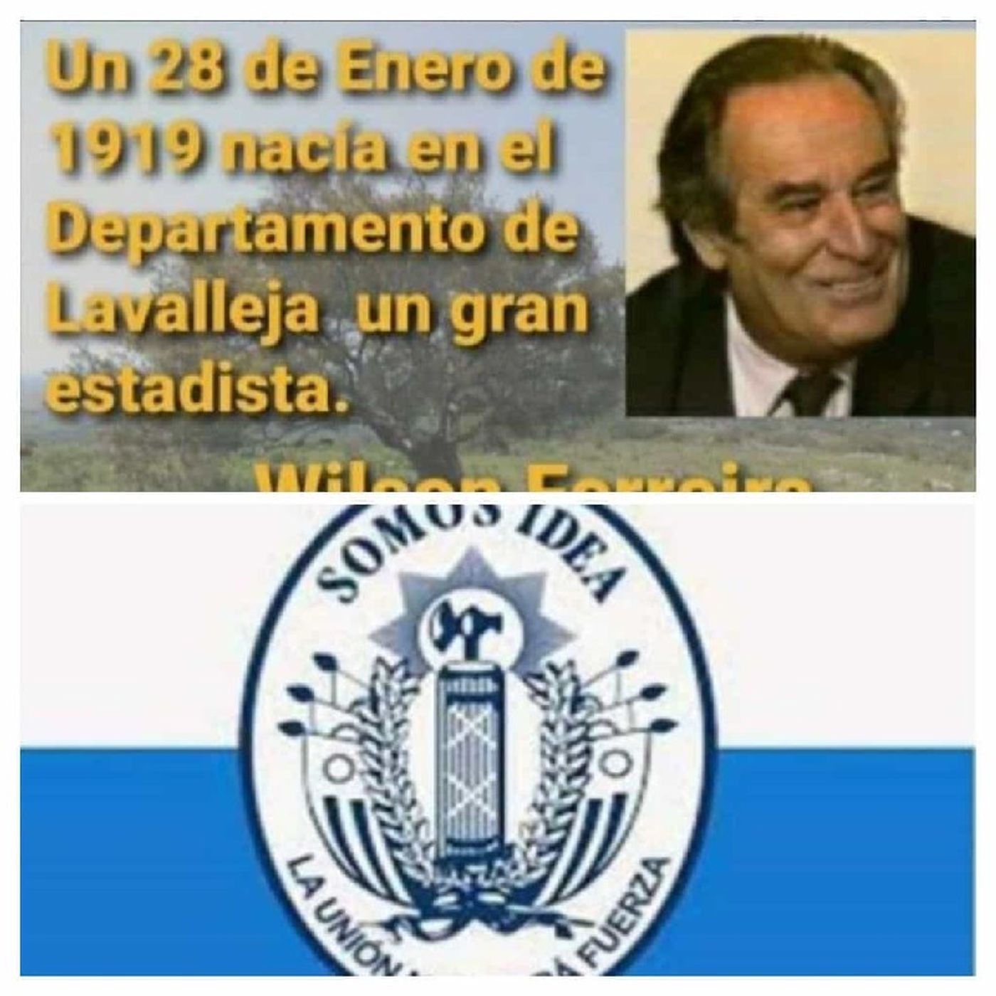 En perspectiva con Red Wilsonista