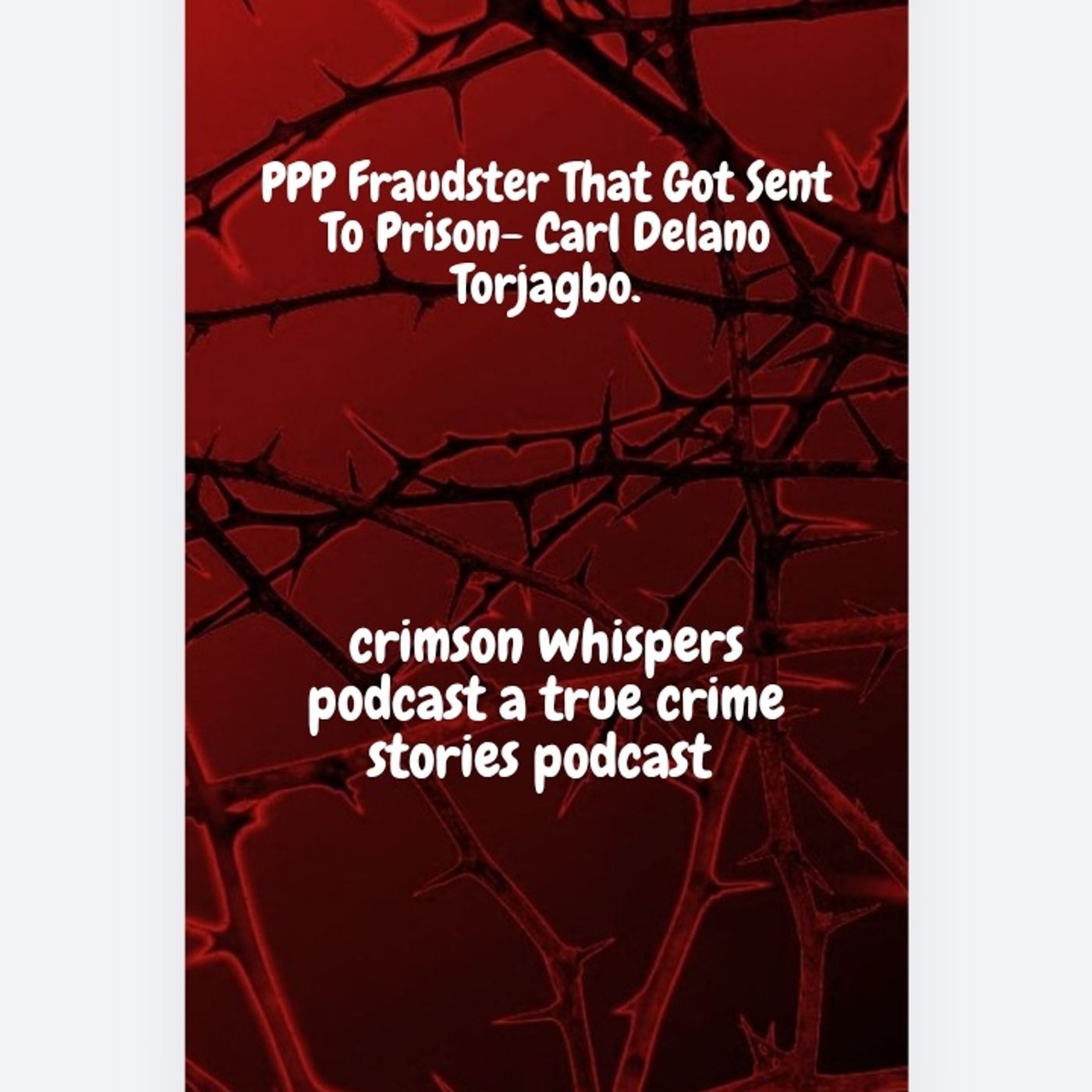 PPP Fraudster That Got Sent To Prison- Carl Delano Torjagbo episode artwork