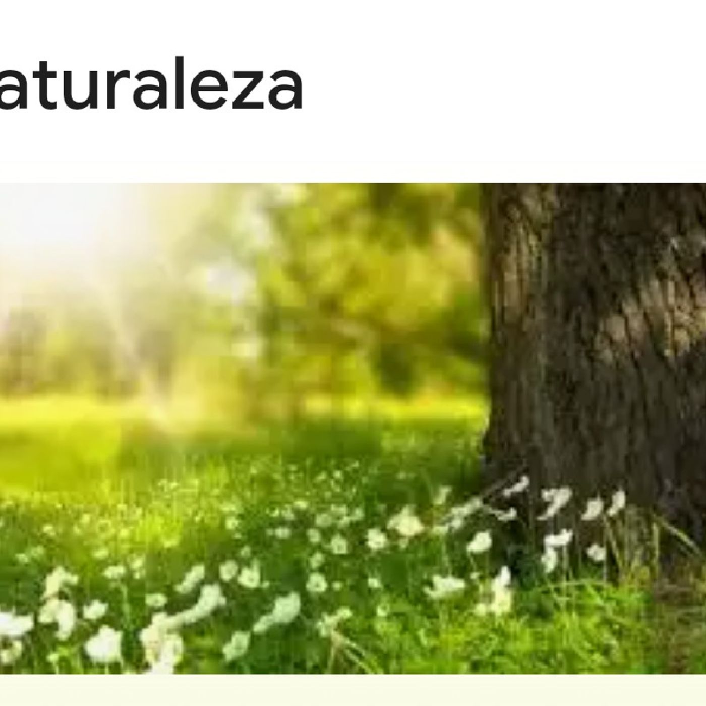 Episodio - El podcast de la naturaleza de Ana Karen Solis López 🌿🌳🌲 episode artwork