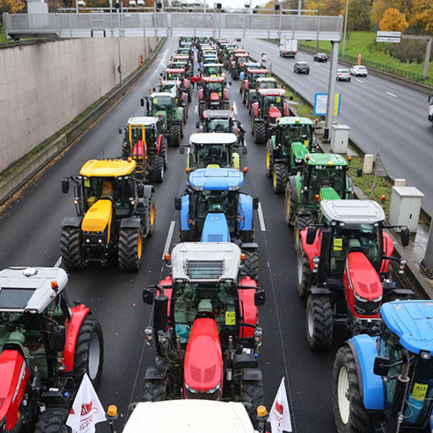 BONUS 145: The French Farmer Protests You Haven't Heard Of