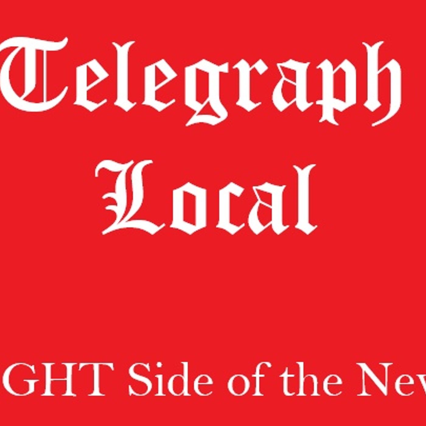Telegraph Local Politics