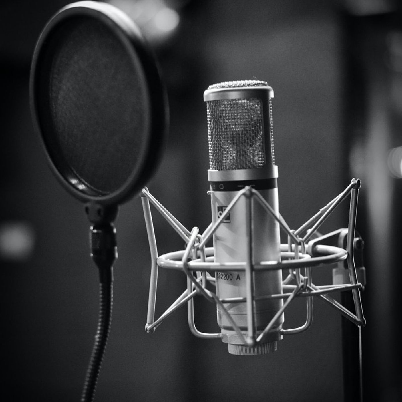 Buduleci Andrei\'s podcast