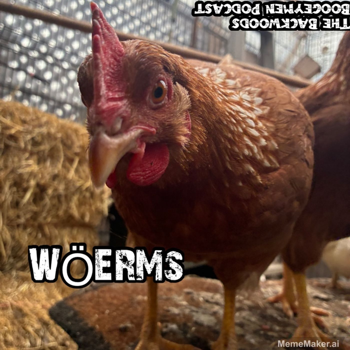 Ep.49 Grey & Naked Illinois Ep.49 Grey & Naked Illinois