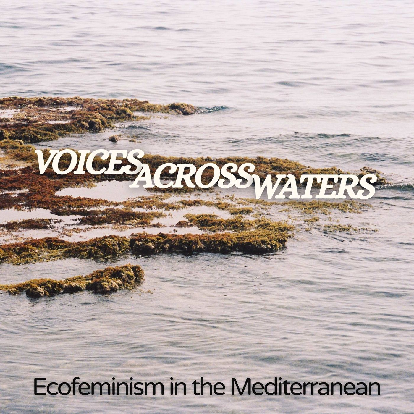 Voices Across Waters podcast artwork