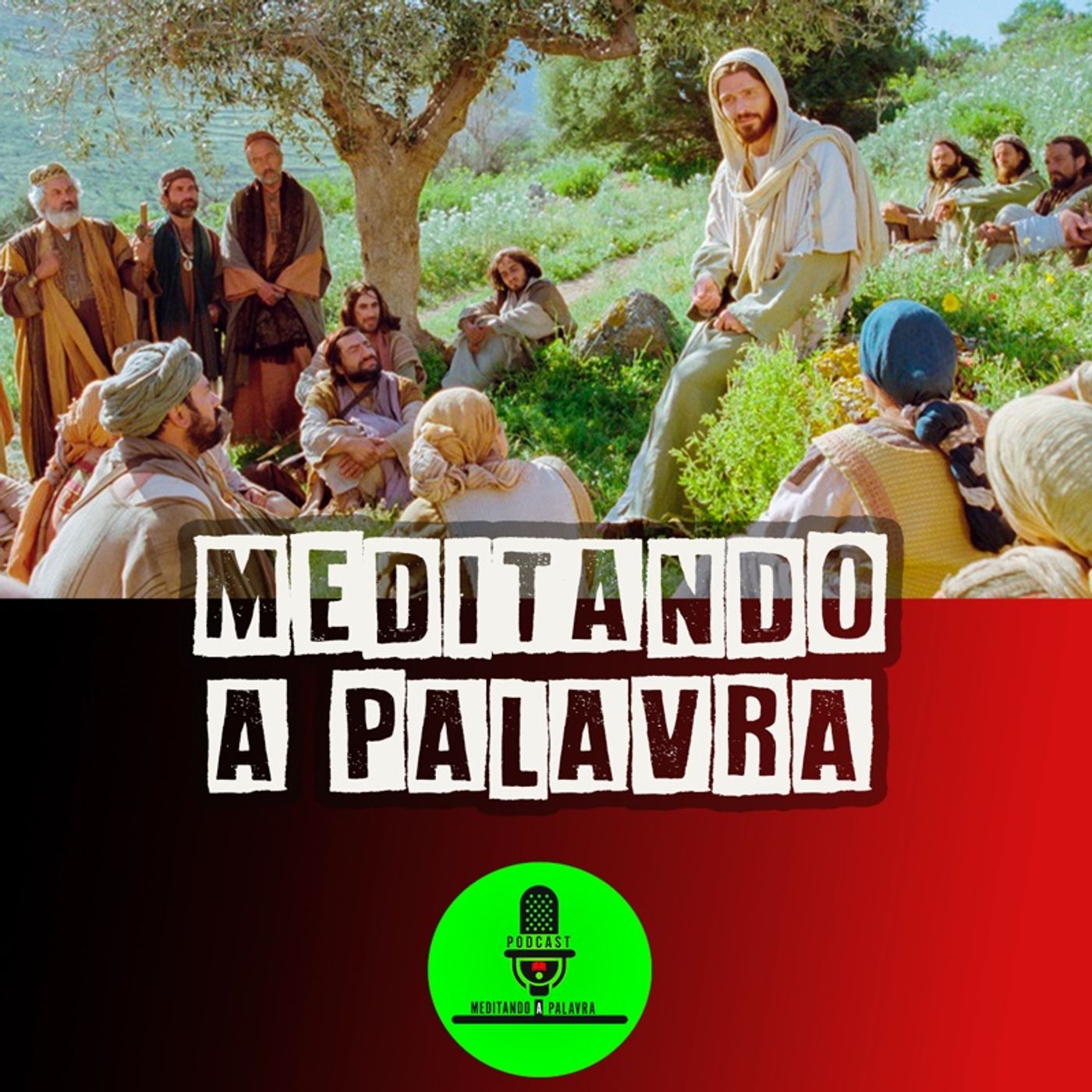 Meditando a Palavra