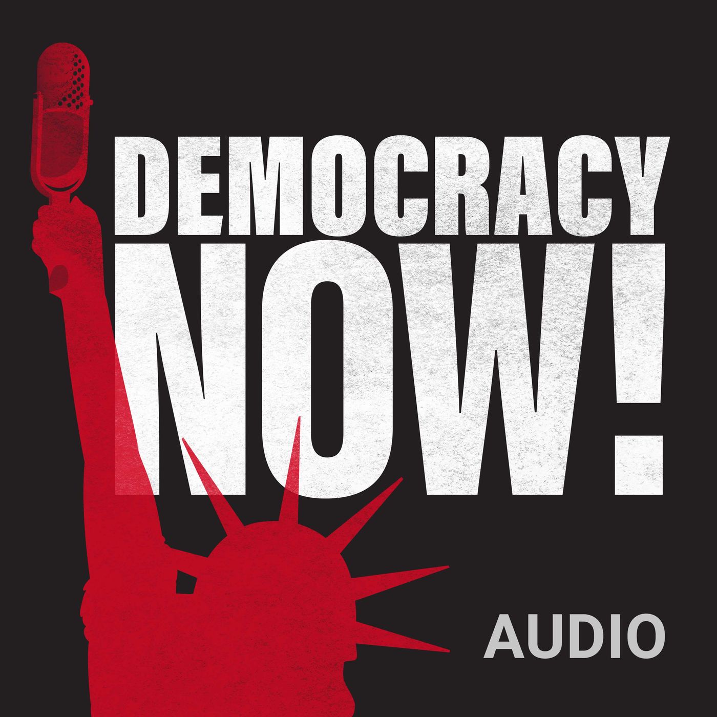 Democracy Now! 2021-11-25 Thursday episode artwork