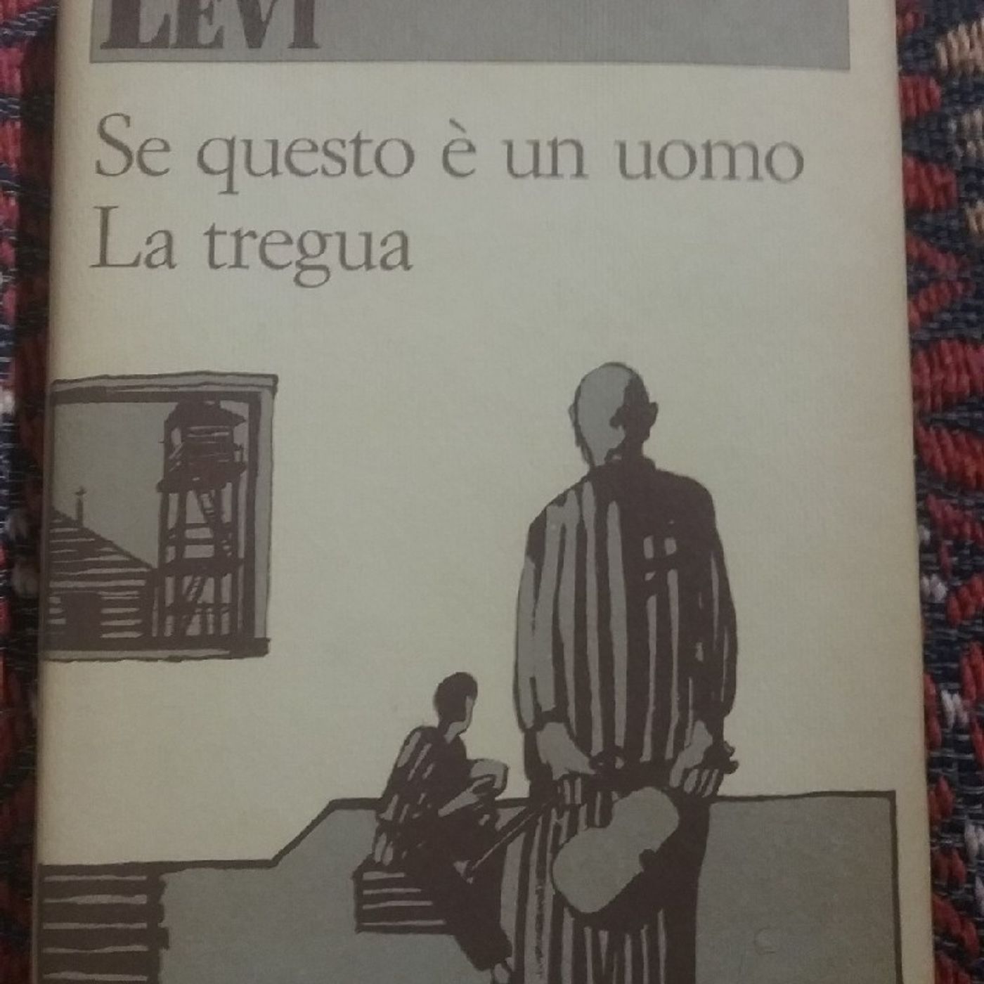 Il podcast di Luisa Ragni