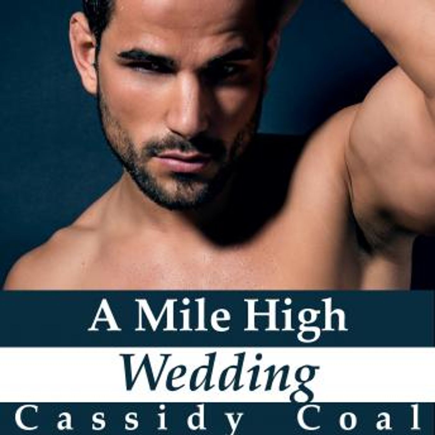 Download Incredible Full Audiobooks in Romance, Modern