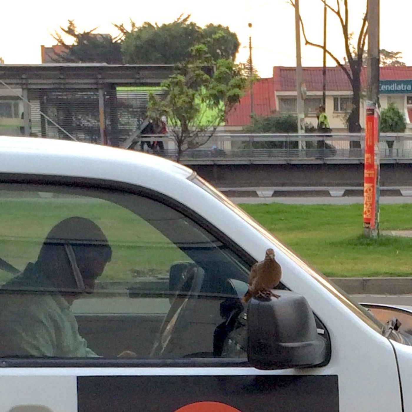 El iPhone que no podía ver de cerca
