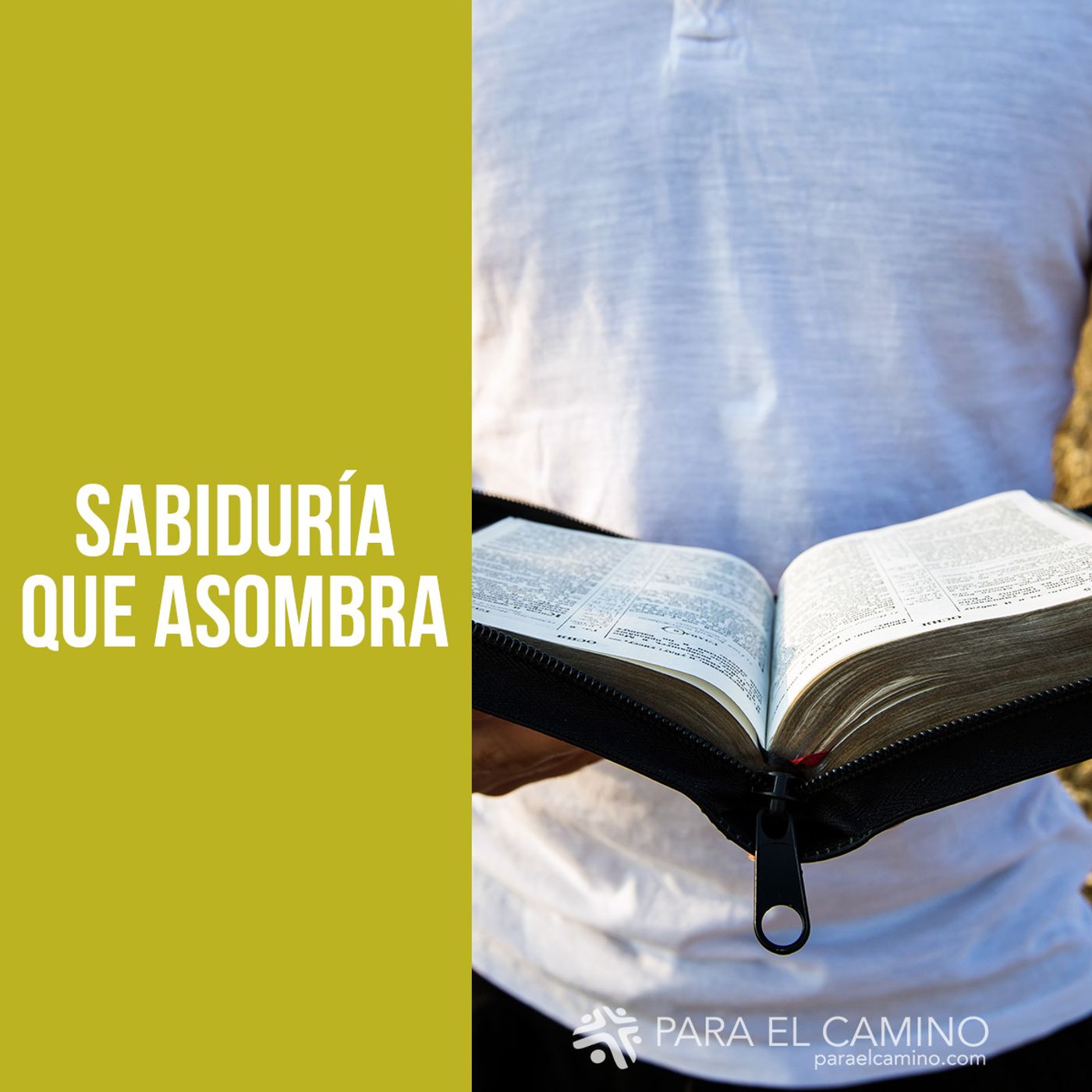 Portada de Para El Camino